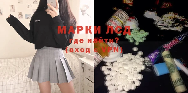 хмурый Аркадак