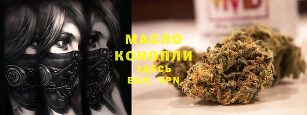 хмурый Аркадак