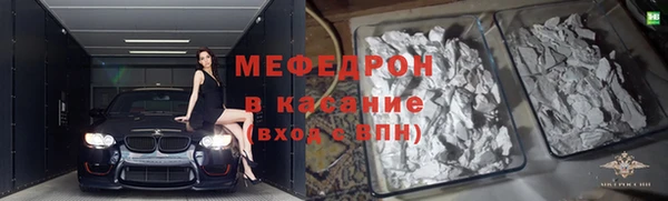 хмурый Аркадак