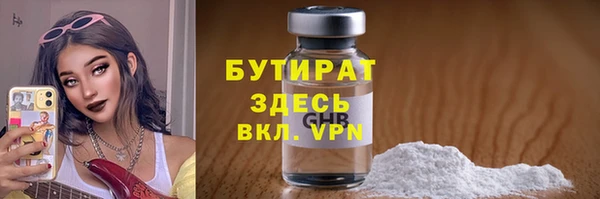 хмурый Аркадак