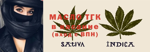 хмурый Аркадак