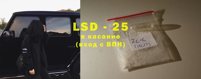 хмурый Аркадак