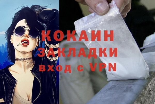 хмурый Аркадак