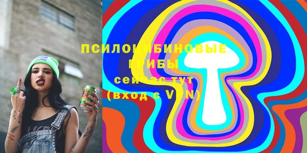 меф Арсеньев