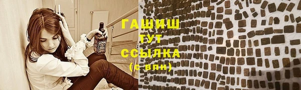 хмурый Аркадак